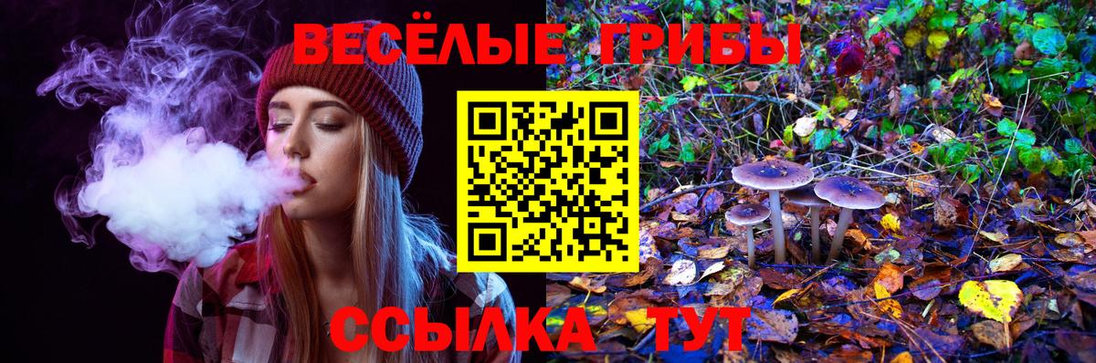 Галлюциногенные грибы прущие грибы  Вход с VPN  Псилоцибиновые грибы MAGIC MUSHROOMS  Ульяновск 